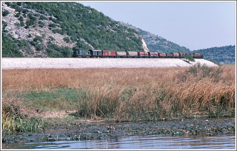 Aus Titograd nhert sich eine BR 642 mit einem Gterzug der Station Virpazar. Aufgenommen habe ich den Zug von einem Schiff aus, mit dem wir den Skutarisee berquert haben. (Archiv 07/72)