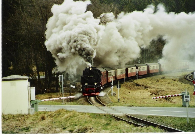 Ausfahrt frei! Die 99 7238 ist hier mit ihrem Zug zum Brocken bei der Ausfahrt aus dem bahnhof Drei Annen Hohne zu sehen, bevor sie in den Wald abtaucht. 3. April 2007 12:31