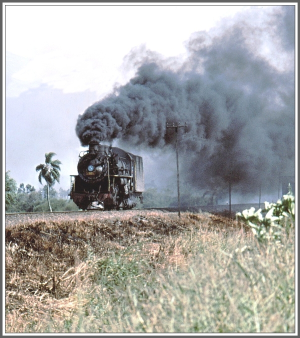 Ausserhalb von Tubarao/Santa Caterina im S�den Brasielien kommt mir Lok 301 entgegen. (Archiv 04/1981)
