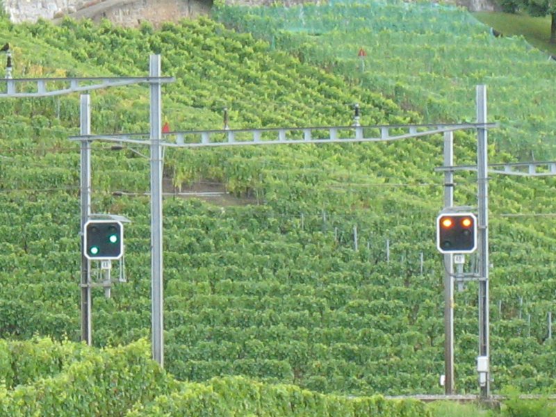 Bahn und Rebberge, eine harmonische Kombination.
(August 2007)