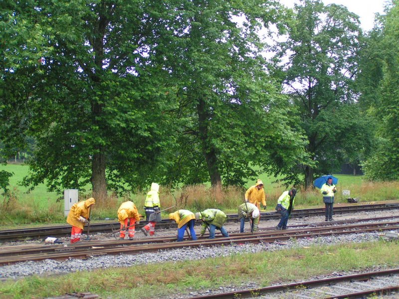 Bahnbautrupp bei strmenden Regen Bhf. RIED i.I. 2008-08-12