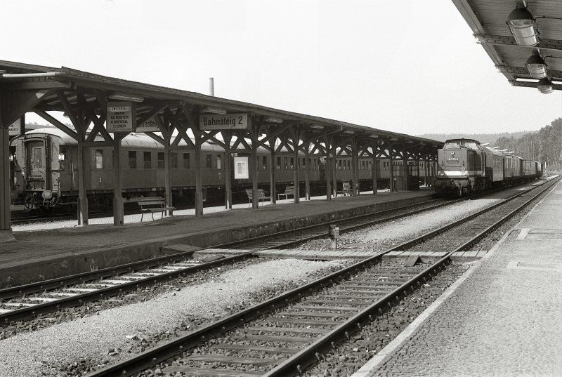 Bahnhof Adorf an der Strecke Gera-Plauen unt. Bhf Weischlitz-Adorf-Bad Brambach. Hinten am Bahnsteig steht der Dampfsonderzug aus Gera, vorn eine DR 110 mit diversen Wagenmaterial, Aufnahme von 1984