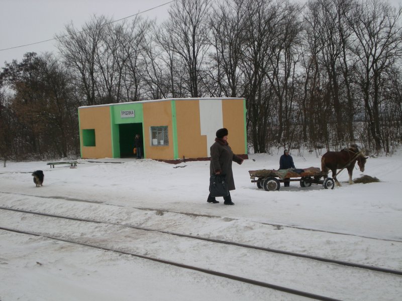 Bahnhof Prudowka. Das liegt ca. 30 km sdlich von Gomel in Richtung Ukrainische Grenze. 31.12.2008.