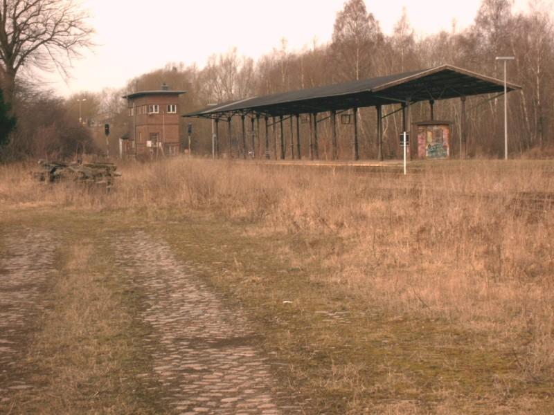 Bahnsteige 1-3 in Schnberg 2006. Bahnsteig 1 gibt es eigentlich gar nicht und 3 wird sogut wie nie genutzt.
<a href= http://staedte.kaposo.de  target= _blank ><img src= http://www.bahnbilder.de/counter/counter_new.php?key=153181117  alt= Städte auf Kaposo  title= Städte auf Kaposo  border= 0  /></a>