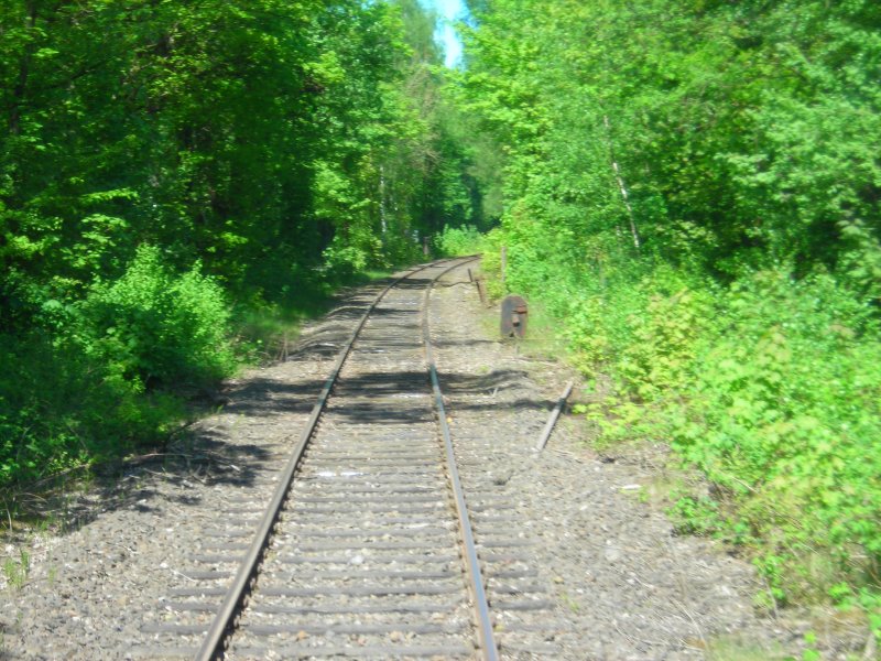 Bahnstrecke zwischen Stadthagen West und Nienst�dt. Rechts im Geb�sch erkennt man eine DKW (10.5.08)