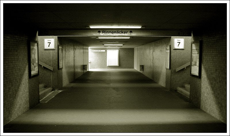 Bahntristesse 5 - 

Die Unterführung des Bahnhofes Waiblingen. Immerhin ist eine gewisse symetrische Ordnung vorhanden. Auch finde ich den schrägen Lichteinfall nach beiden Seiten an den vorderen Aufgängen interessant, während hinten das Licht seitlich einfällt und dort die Symetrie aufhebt. 

02.11.2007 (M)