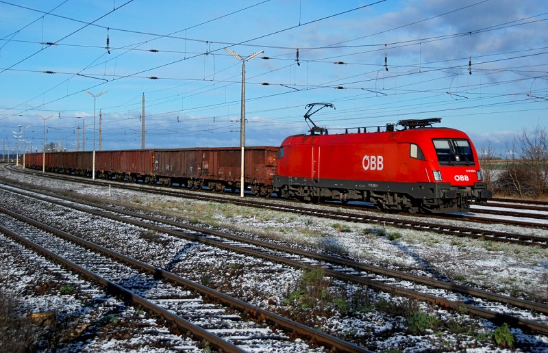 Baureihe 1116 und Rbenkampagne Ende November nach zarten Schneefall am 22.11.2008 in Grammatneusiedl.