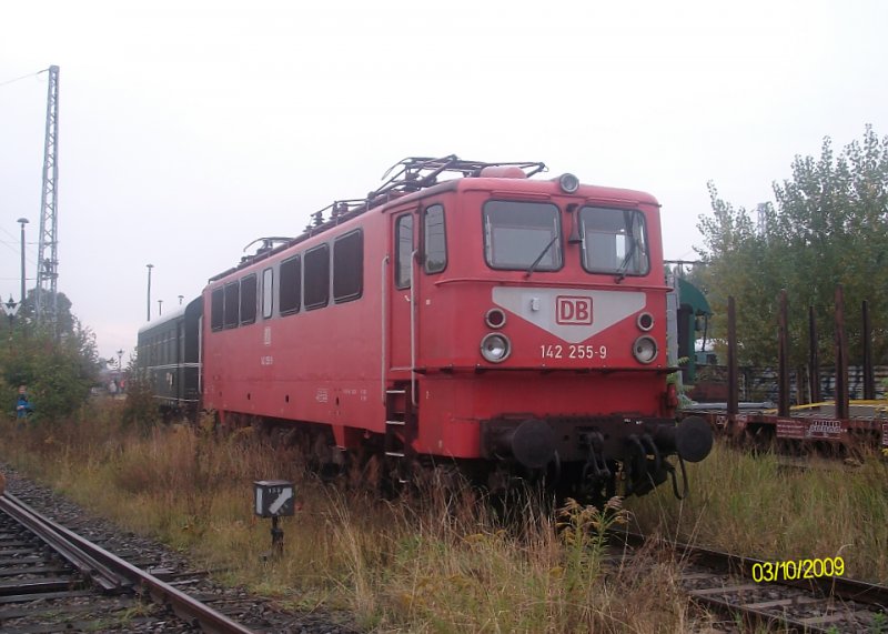 Baureihe 142 beim Eisenbahnfest im Bahnbetriebswerk Berlin-Schneweide am 03.10.2009