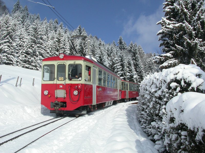 BDeh 2/4 74 Lally 27.02.2004