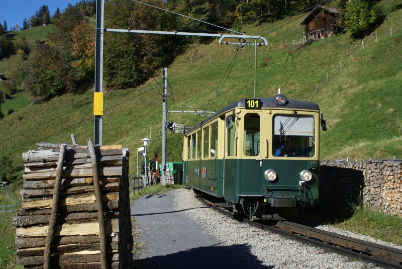 Bdhe 4/4 der Wengernalpbahn am 7. Oktober 2007 bei der Station Wengwald.
