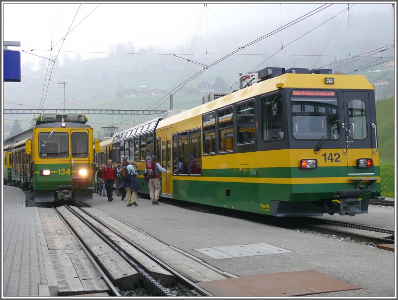 BDhe 4/8 134 neben Pano Bhe 4/8 in Grindelwald Grund. Trotz gleicher Achszahl ist der Pano Tw dreiteilig und verfgt ber beinahne doppelt so viele Sitzpltze. (11.10.2007)