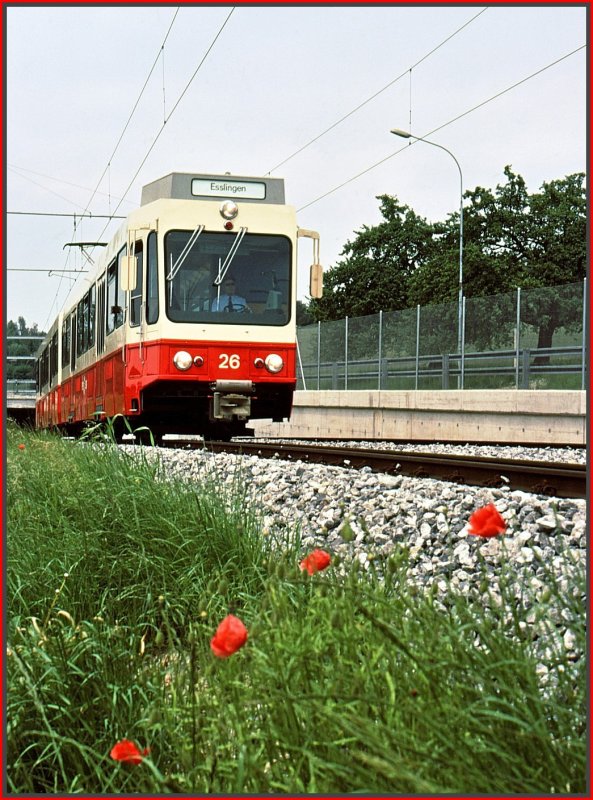Be 8/8 26 beim Verlassen des Zumiker Tunnels bei Neue Forch. (Archiv 06/77)