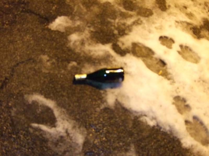 Bei der abgebildeten Sektflasche handelt es sich um eine Bahnsektflasche die vom Lokfhrer bei berschallgeschwindigkeit an Silvester aus dem Cockpit geschmissen wurde.
Ich bitte um besondere beachtung bezglich des schnen Hintergrundes (Original Bahnasfalt). Die Fuabdrcke stammen von einem betrunkenen Besucher eines Klohuschens.
