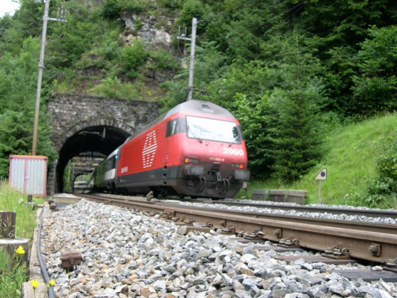 Bei Blausee Mitholz rollt dieser InterCity am 01.07.2005 talwrts. Es schiebt Re 460 055-7  Staffelegg . Im Vordergrund ist der 29m lange Felsenburg 2-Tunnel, im Hintergrund der 19m lange Felsenburg 1-Tunnel zu sehen. Beide Tunnel befinden sich auf der Ltschberg-Nordrampe und sind mit einem kleinen Umweg vom BLS-Bahnlehrpfad ab dem Bahnhof Blausee Mitholz in ca. 15-20 min zu erreichen.