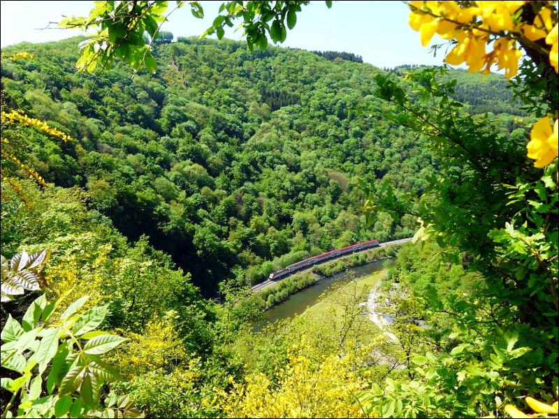 Bei dem Aussichtspunkt  Ierwescht Fuusslee  (314 m) unterhalb der Burg Bourscheid hat es zu grnen und blhen begonnen. Hier kommt IR 3739 aus Richtung Troisvierges und fhrt nach Luxemburg. 11.05.08
