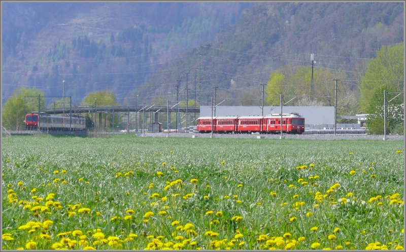 Bei der ehemaligem Haltestelle Trimmis teilen sich die Doppelspuren von RhB und SBB. Der Regio nach Schiers Chur ab 52 wird meistens in dieser Gegend vom Regio nach Ziegelbrcke Chur ab 55 berholt. Be 4/4 RhB und RBDe 560 der SBB. (26.04.2008)