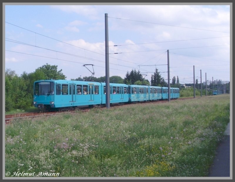 Bei der Sonderfahrt mit dem Drei-Wagen-Zug vom Typ U2h am 21.06.2008 wurde auch der Betriebshof Ost angefahren. Hier ergab sich f�r die Teilnehmer die M�glichkeit, mit offizieller Erlaubnis Aufnahmen der Z�ge der Linie U4 zu machen, die aufgrund probeweiser Verl�ngerung zur Sch�fflestra�e seit 15.06.2008 �ber die Betriebsstrecke des Betriebshofes Ost f�hrt. Diese Aufnahme zeigt den 7. Zug zur Bockenheimer Warte mit den Triebwagen 465, 452 und 458 der Bauart U3, der Gegenzug ist im Bildhintergrund zu sehen. 