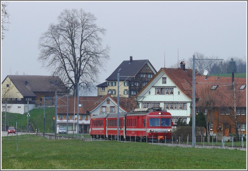 Bei Steinegg saust der BDe 4/4 43 um die Hausecken und sieht neben dem riesigen Baum ganz klein aus. (17.04.2008)