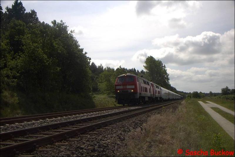 Bei St.Michaelisdonn zeigten sich BR 218 460-4 und BR 218 330-9 am 15 Juni 2003 mit AZ 1431 auf der Fahrt von Dortmund nach Westerland auf Sylt.