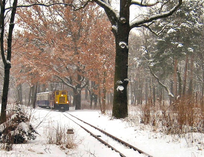 Berliner Parkeisenbahn im Winter, 2006