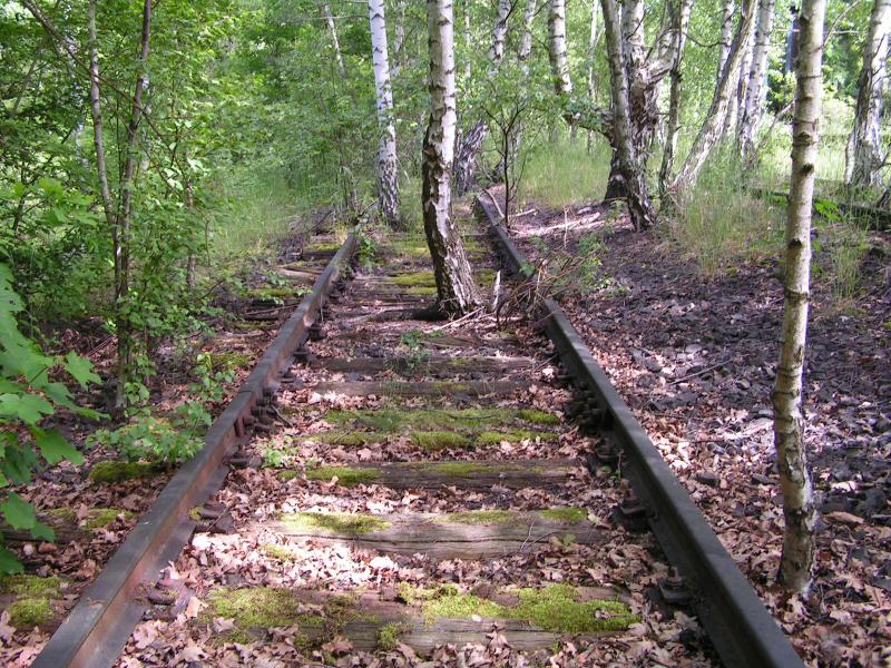Berlin,Naturpark Schneberger Sdgelnde.berall sieht man noch die Reste von den Gleisanlagen,die sich die Natur zurckerobert hat.Bln.26.05.05
