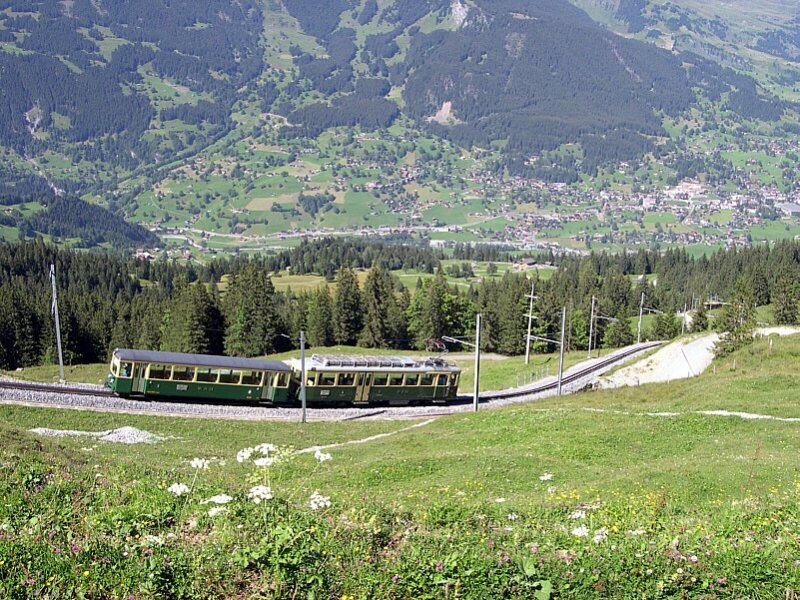 Berner Oberland 2007 - Kurz vor Alpiglen an der Bergstrecke von Grindelwald zur Kleinen Scheidegg schiebt sich am 01.08.2007 diese Garnitur der Wengernalpbahn bergwrts. Nicht das jemand denkt dass bei dieser Bahn niemand mitfhrt, weil der gesehene Zug so leer ist. Dem ist nicht so. Die wenigsten Wanderer fahren nachmittags noch bergwrts.