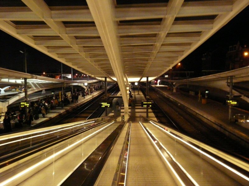 Blick von der Fugngerbrcke des Bahnhofs von Lige Guillemins auf die Bahnsteige, links warten viele Reisende auf die Einfahrt ihres Zuges am 17.02.08. 