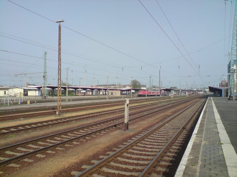 Blick ber die Bahnsteige in Cottbus mit seinen imposanten Bahnanlagen.
Cottbus 08.04.2009