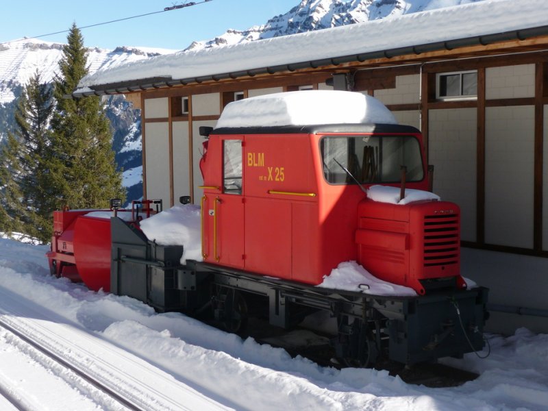 BLM - Schneefrsse X 25 in Mrren am 04.01.2009