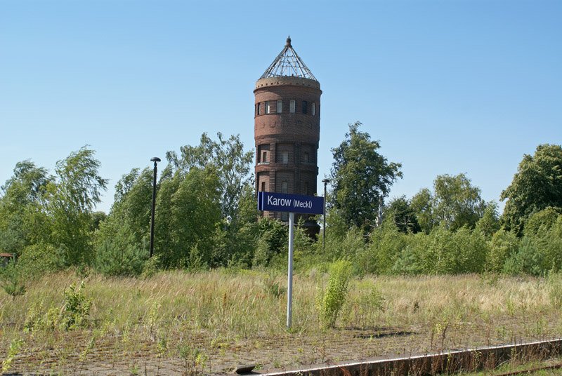 Blhende Landschaften in Karow am 31.07.2008.
