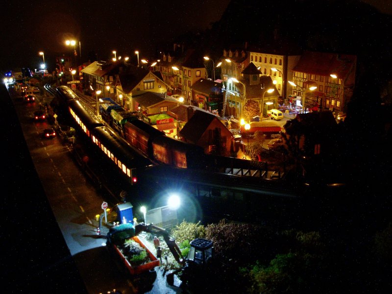Blumenfeld von rechts vorne. Im Vordergrund wird fleiig geschuftet, whrend sich im Hintergrund einige Gterwaggons im Licht der vorbeifahrenden Personenwaggons von der Schwrze der Nacht abheben. :) 