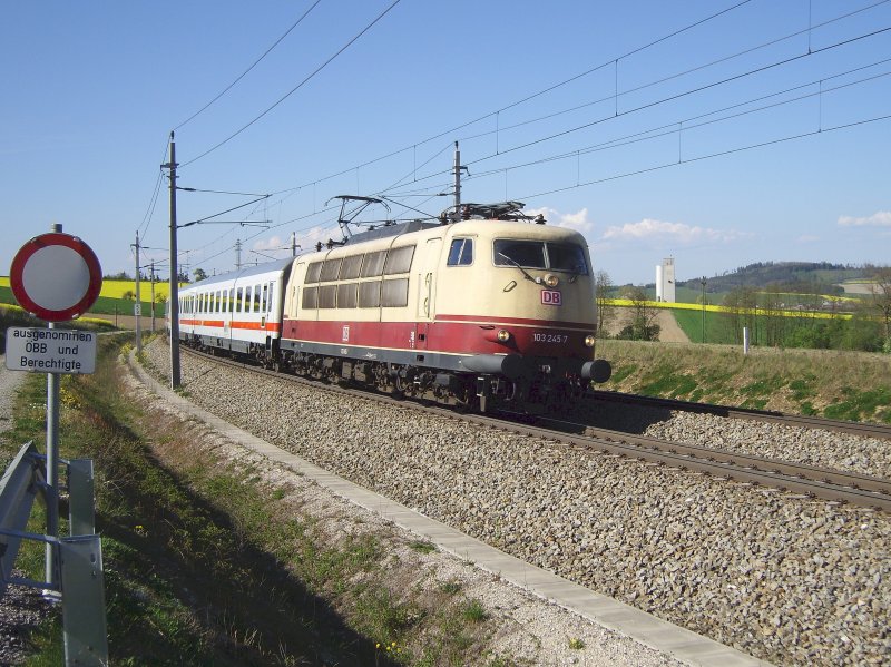 BR 103 245 ist heute mit einem Sonderzug unterwegs nach Wien, morgen nach Salzburg. Die Aufnahme entstand in Katzbach, dem einzigen Abschnitt der Zugroute in meiner Umgebung, auf dem die Sonne um die Uhrzeit noch ein bisschen die Front bescheint. 

Ich war dort zum ersten Mal - und sp�t dran, denn in dem Moment, als ich mein Rad abstellte, h�rte ich bereits das Kurvensingen des Zuges. Somit war dieses Foto ein  Gerade-noch-rechtzeitig-Schuss . [17.04.07, 16:30, 18 km zur�ckgelegte Wegstrecke] Re: Danke!