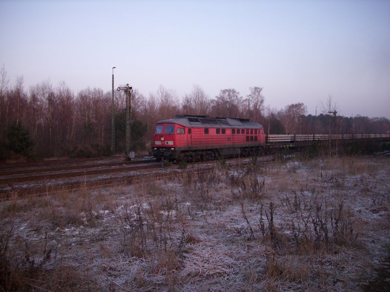 BR 233 264-1 bringt Schienen zur Baustelle zwischen Munster - Soltau