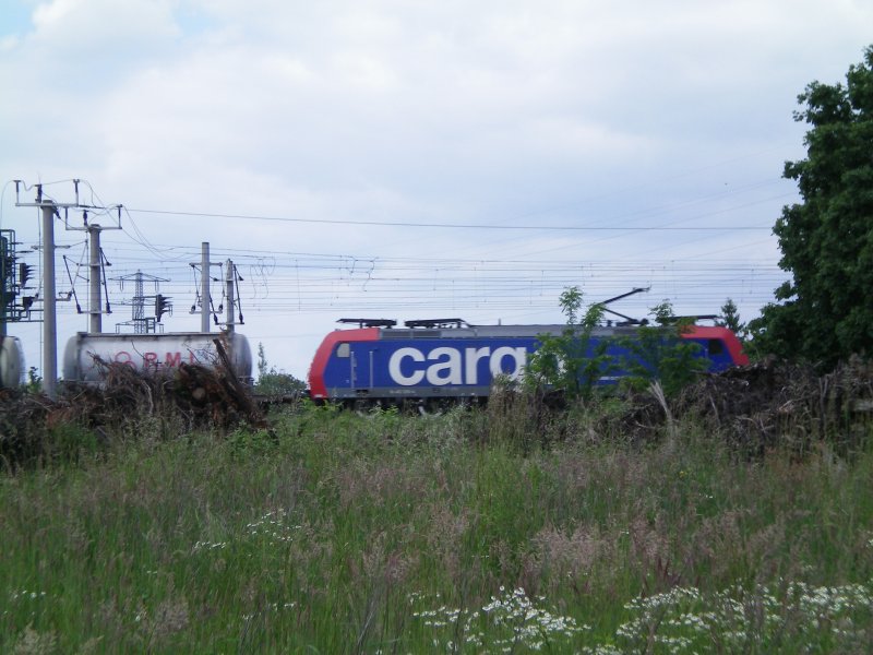 BR 482 der SBB Cargoflotte bei Baden-Baden.