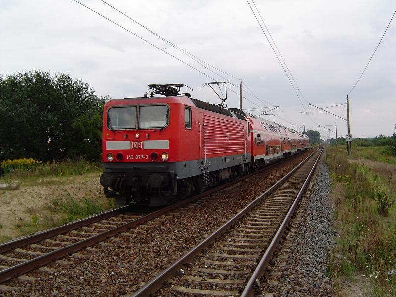BR143 877-9 mit ihrem RE 38350 auf der Fahrt von Belzig �ber Berlin nach Stralsund. Dieses Bild entstand am 16.08.04 kurz vor der Einfahrt in den Bf Greifswald S�d.