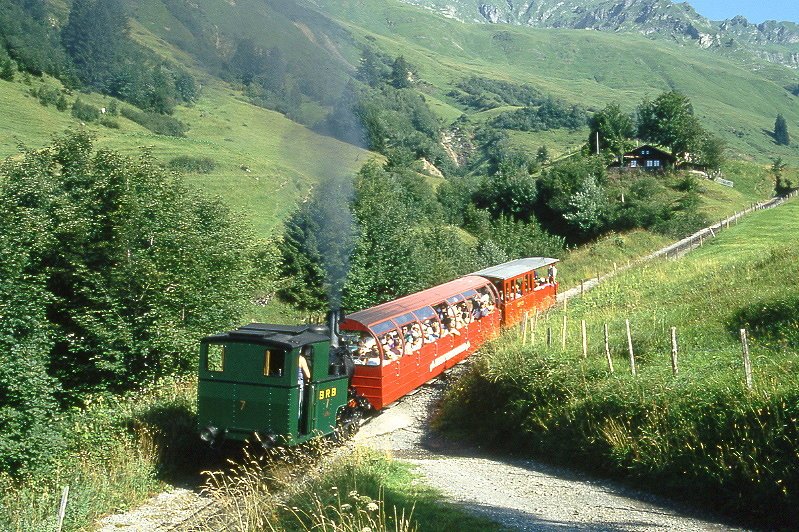 BRB Brienzer Rothornbahn - Dampf-Zug 5a von Brienz nach Rothorn am 09.08.1994 oberhalb Planalp mit C 21 - B 4 - Zahnrad-Dampflok H 2/3 7. 
