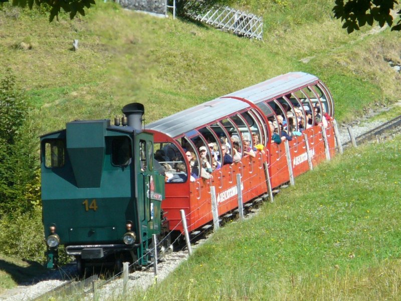 BRB - Dampfzug mit Zahnrad Dampflok H 2/3  14 und mit 
2 Personenwagen kurz nach der Kreuzungsstelle Planalp am 13.09.2007