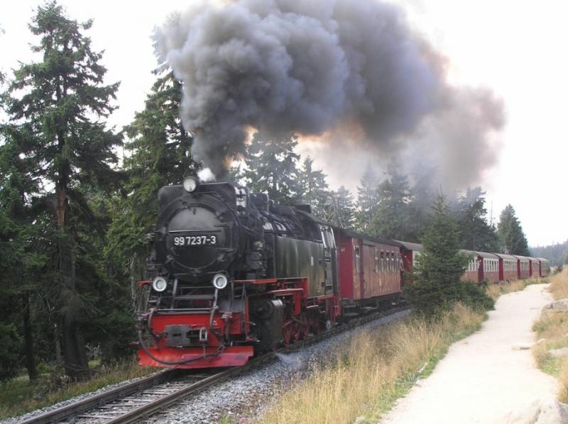 Brockenbahn im Sommer bei der Auffahrt zum Brocken. Standort ist der Bahnparrallelweg, ca. 3 Kilometer vorm Brocken! 