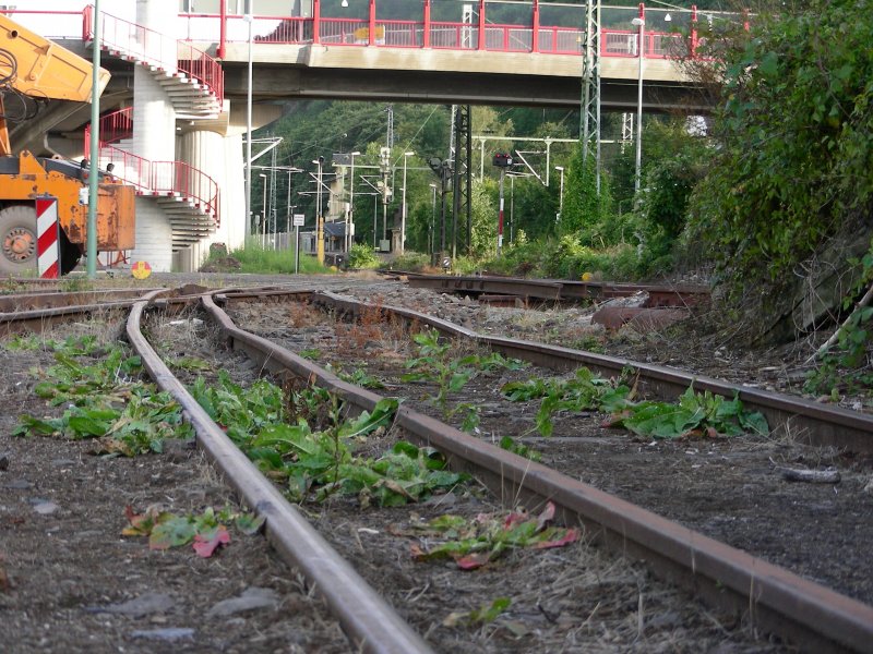 Brohl abseits der groen Bahn
zweispuriges Gleis mit genialer Gleislage in einer Verladestrae