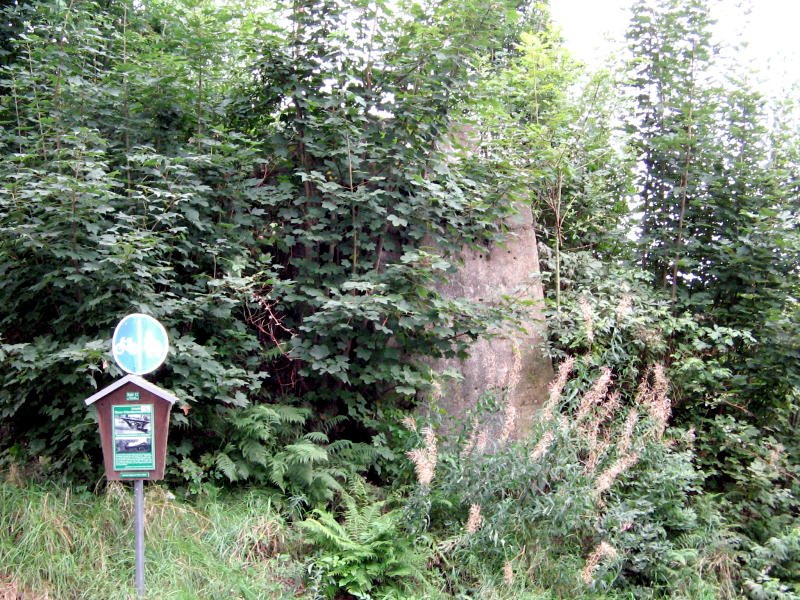 Brckenwiderlager der Schmalspurbahn Thum-Meinersdorf in Jahnsbach an der Bleiche, 07.09.07 