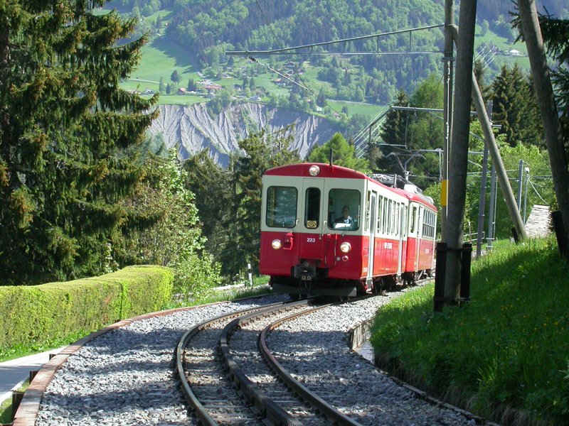 Bt 223 BDeh 2/4 73 Lally 14.05.2003