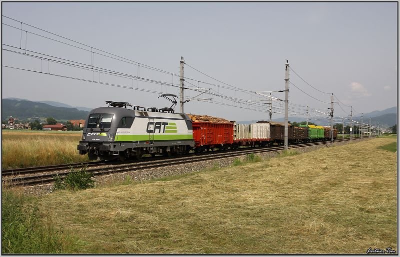 CAT Taurus 1116 142 fhrt mit einem Gterzug von Bruck an der Mur nach Zeltweg.
25.06.2008