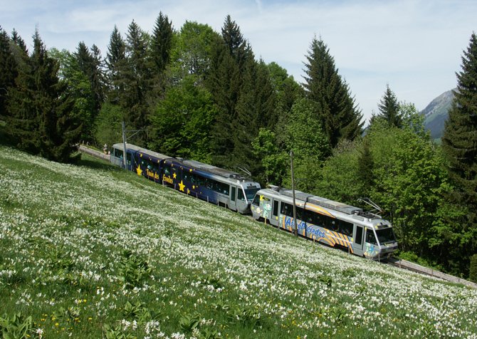 CEV Beh 2/4 72 71 Bt 224 Les Pliades 26.05.2007