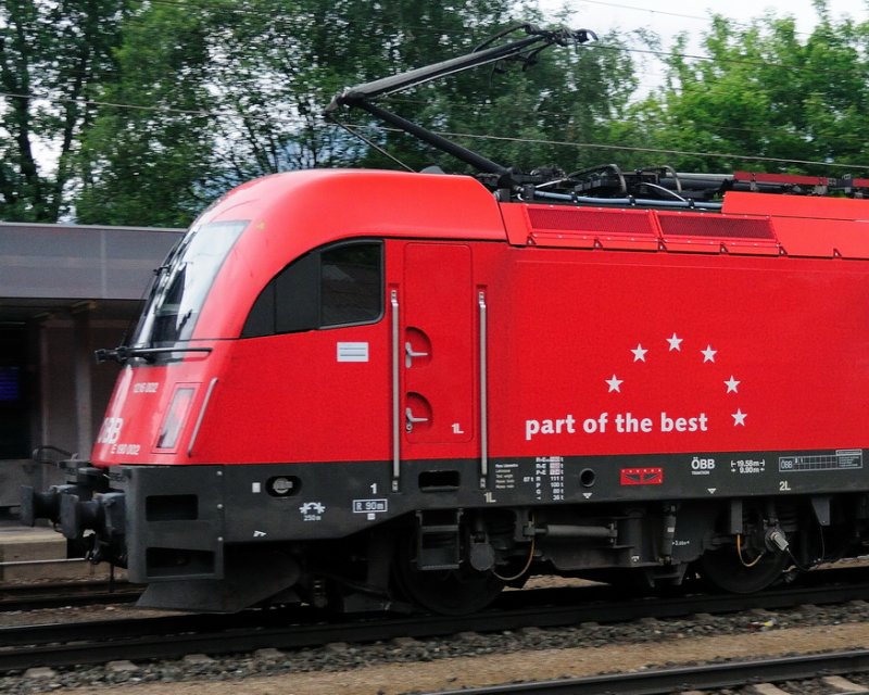 Charakterschnauze als Teil der Besten: Die zweite aller 1216 anders gesehen... (Brixlegg, 20.06.2009).