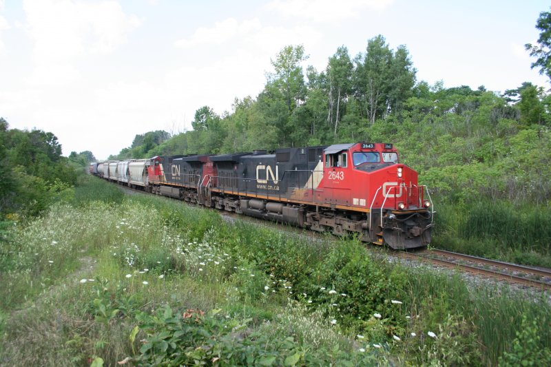 CN C44-9W 2643 und C44-9W 2589 mit Gterzug von Georgetown in Richtung Milton am 14.8.2009 an der Meile 30 bei Milton.