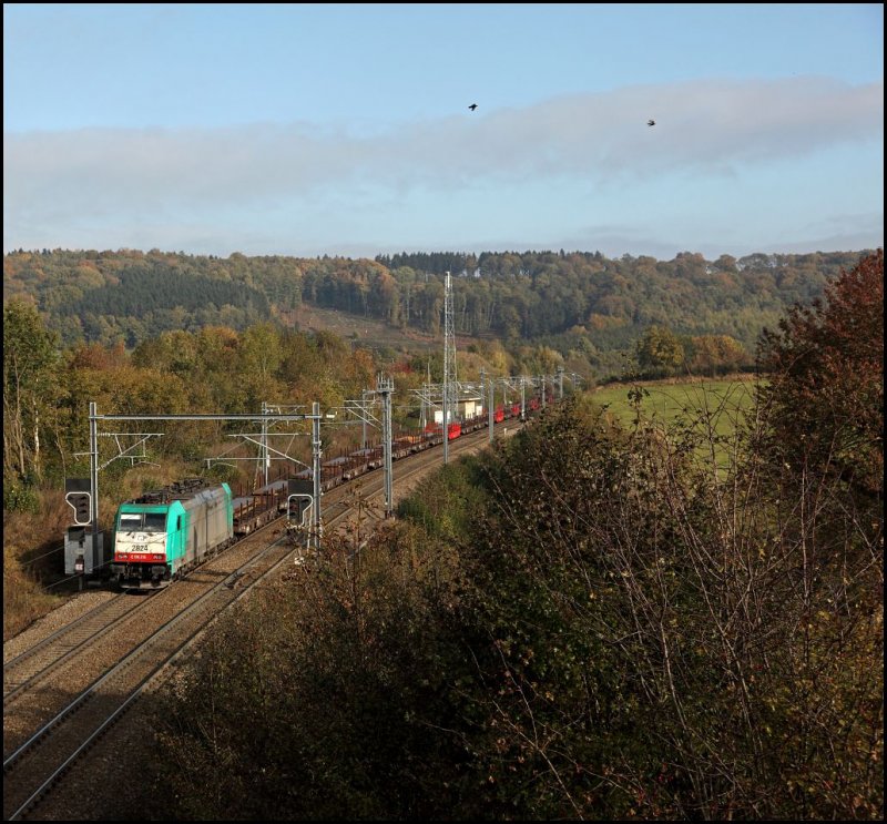 COBRA: Coperation B-Cargo RaiLioN: Um den Gterverkehr zwischen Gremberg und den belgischen Seehfen zu verbessern wurde das Gemeinschaftsunternehmen COBRA gegrndet. Seit Ende 2008 werden die E186er vom Leasingunternehmen AngelTrains eingesetzt und haben damit die Loks der Baureihe 225, 241.8 und die belgischen Loks der Baureihe 55 abgelst. Hier ist E186 216 (2824) mit einem Stahlzug,47544(?) Bremen - Genk, bei Gemmenich in Richtung Montzen unterwegs.