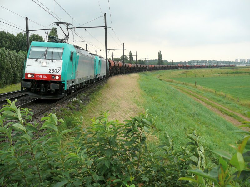Cobra-Lok 2802 zieht eine Schwesterlok und 44 Wagen gleich einem nicht enden wollenden Bandwurm Richtung Antwerpener Hafen. Aufgenommen am 12/08/2009 in Ekeren. 