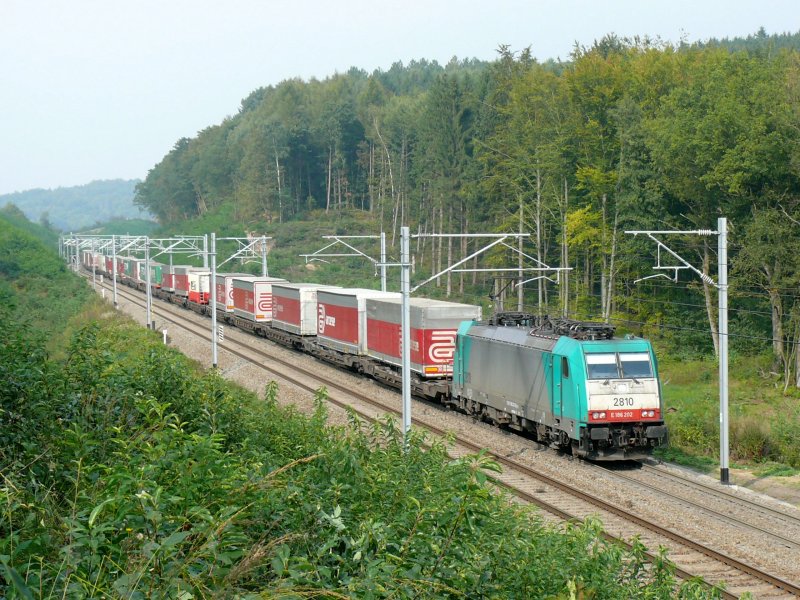 Cobra-Lok 2810 zieht einen langen LKW-Zug von Aachen-West kommend auf dem leicht abschssigen Stck zwischen dem Gemmenicher Tunnel und Moresnet. Aufgenommen am 20/09/2009. 