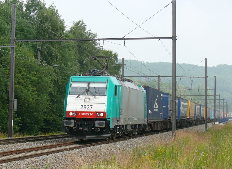 Cobra-Lok 2837 kommt von Aachen-West und hat soeben den Viadukt bei Remersdael berquert. An dieser Stelle ein Gruss an den freundlichen TF. Aufgenommen am 28/06/2009.