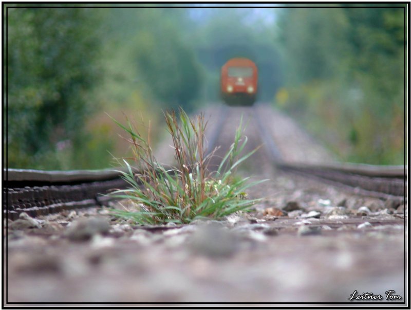 Da fhrt der Zug darber ;-)
Zeltweg 28.08.2007
